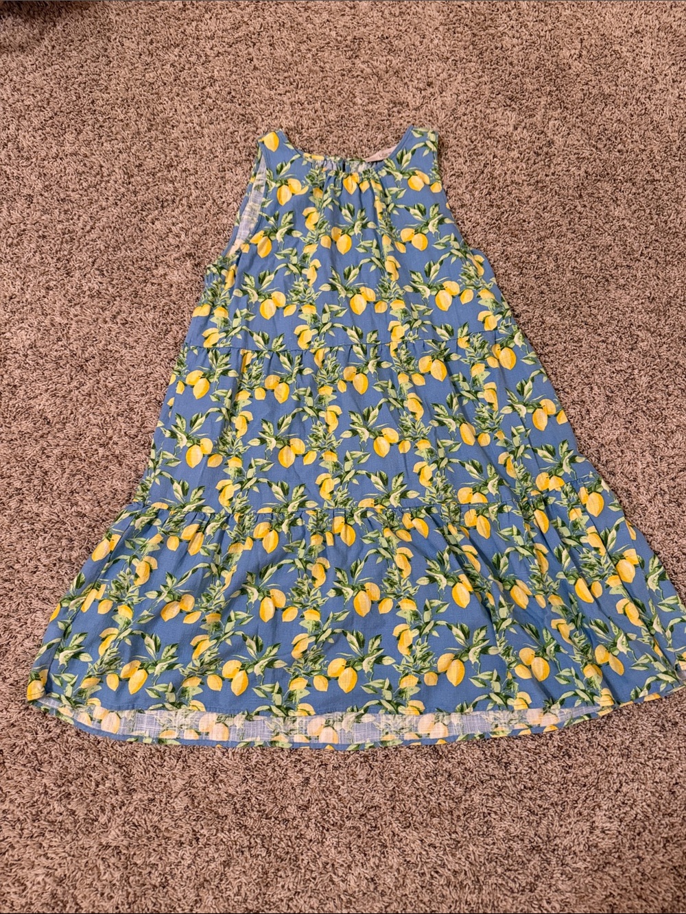 Blue Lemon Print A-Line Women's dress